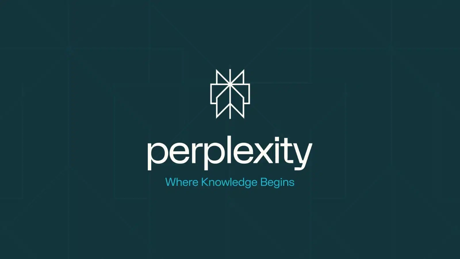 Perplexity